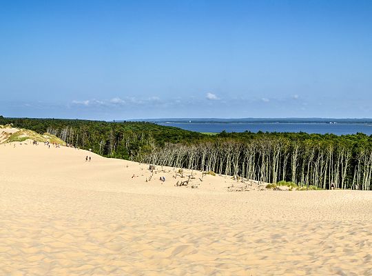 Żarnowska k/Łeby w pobliżu wydm ruchomych