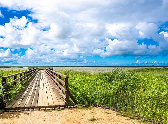 Żarnowska k/Łeby jezioro Łebsko