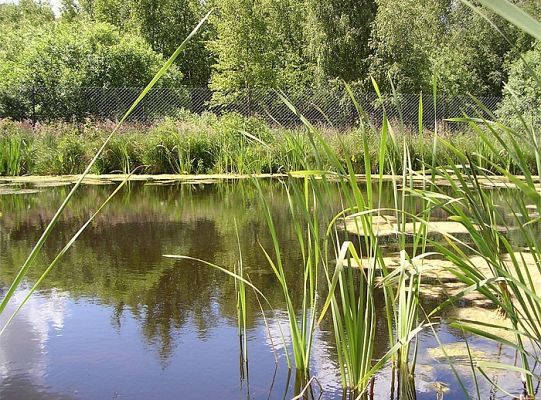 Sielanka spokój i cisza