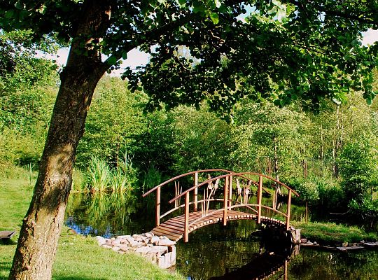 Sielanka 600 m od jeziora Łebsko