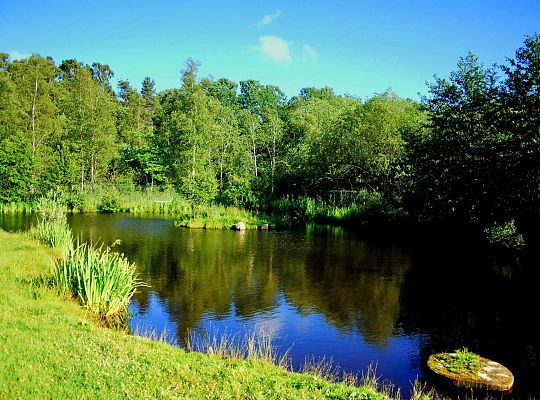 Urocze zakątki w Sielance