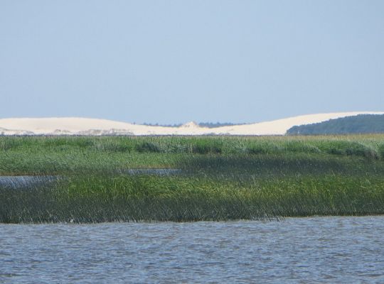 Sielanka w Żarnowskiej przy jeziorze Łebsko